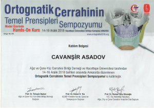 Dt. Cavansir